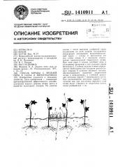 Способ борьбы с эрозией почв в садах и виноградниках (патент 1410911)