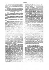 Способ оценки функционального состояния головного мозга у больных с черепно-мозговой травмой (патент 1662493)