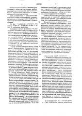 Разборный надувной катамаран (патент 1625761)