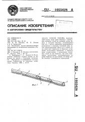 Способ полива (патент 1055428)