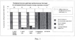 Способ оценки биологической активности лактобацилл и бифидобактерий относительно холерных вибрионов in vitro (патент 2487943)