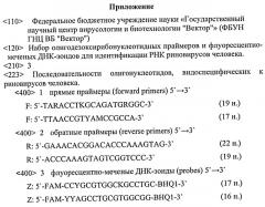 Набор олигодезоксирибонуклеотидных праймеров и флуоресцентно-меченых зондов для идентификации рнк риновирусов человека (патент 2543151)