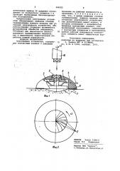 Электродное устройство (патент 946505)
