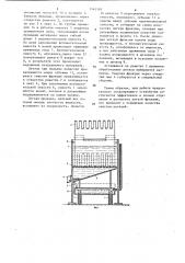 Сепарирующее устройство (патент 1161183)