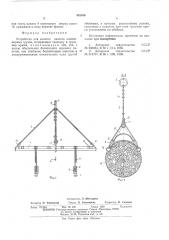 Устройство для захвата пакетов длинномерных грузов (патент 545556)