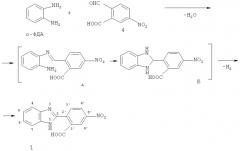 2-(1н-бензимидазол-2-ил)-5'-нитробензойная кислота - антидот гербицида гормонального действия 2,4-дихлорфеноксиуксусной кислоты и способ его получения (патент 2492647)