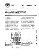 Зондовое устройство (патент 1406829)