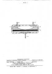 Ампула жидкостного электролитического маятника (патент 785766)