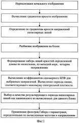 Способ фильтрации изображения папиллярных линий (патент 2378696)