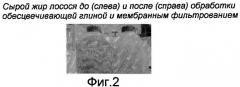 Способ очистки масла и его применение для пищи и корма (патент 2458976)