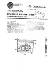 Дренажное устройство (патент 1209763)