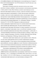 Кристаллические и другие формы солей, образованных из молочной кислоты и 4-амино-5-фтор-3-[6-(4-метилпиперазин-1-ил)-1н-бензимидазол-2-ил]-1н-хинолин-2-она (патент 2425041)