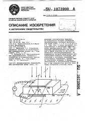 Преобразователь поверхностной акустической волны (патент 1073900)