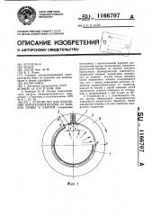 Устройство для отделения корнеклубнеплодов от комков почвы и камней (патент 1166707)