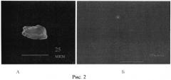 Способ моделирования дисфункции эндотелия in vitro (патент 2490632)