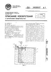 Способ возведения противофильтрационной завесы (патент 1620537)