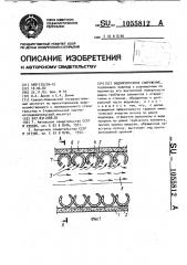 Водопропускное сооружение (патент 1055812)