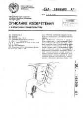 Способ лечения недостаточности большого дуоденального соска (патент 1468509)