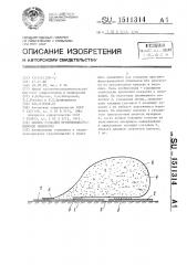 Способ создания противофильтрационной облицовки (патент 1511314)