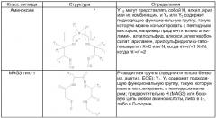 Агенты для визуализации (патент 2355702)