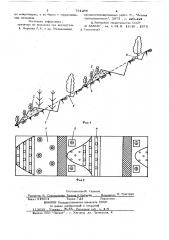 Способ освоения склонов под лесные насаждения (патент 791284)