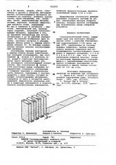 Газопоглотительный насос (патент 812192)