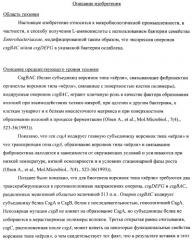 Способ получения l-треонина с использованием бактерии, принадлежащей к роду escherichia, модифицированной таким образом, что в ней нарушена способность к образованию ворсинок типа "керли" (патент 2338782)