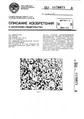 Способ декорирования изделий на основе полиметилметакрилата (патент 1176971)