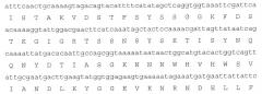 Лейкоцидины staphylococcus aureus, терапевтические композиции и их применение (патент 2644237)