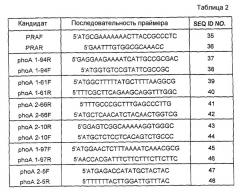 Пептид neisseria meningitidis для терапевтического и диагностического применения (патент 2313535)