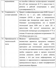 Штамм бактерий escherichia coli krx pet32b/asfv/p30-продуцент химерного рекомбинантного белка p30 вируса африканской чумы свиней (патент 2647573)