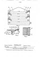 Устройство для сушки пищевого растительного сырья (патент 1775091)