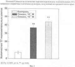 Способ скрининга фармакологических соединений на нейропротекторную активность (патент 2383615)