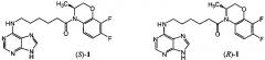 (3s)-4-[6-(пурин-6-иламино)гексаноил]-3,4-дигидро-3-метил-7,8-дифтор-2н-[1,4]бензоксазин и (3r)-4-[6-(пурин-6-иламино)гексаноил]-3,4-дигидро-3-метил-7,8-дифтор-2н-[1,4]бензоксазин, обладающие противовирусной активностью (патент 2644351)