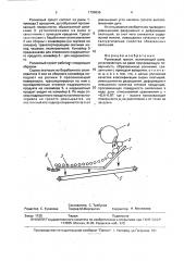 Роликовый грохот (патент 1799636)