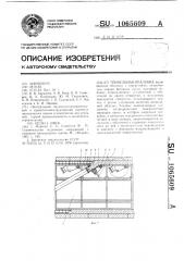 Тоннельная опалубка (патент 1065609)