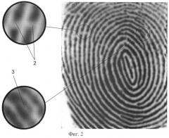 Способ формирования биометрического кода отпечатка пальца (патент 2395840)