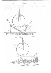 Машина для подачи плодов на технологические операции (патент 1773373)