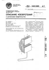 Устройство для магнитотеплотерапии (патент 1641360)