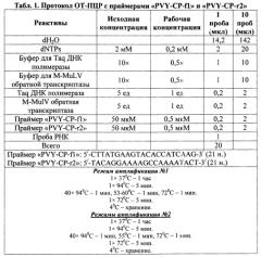 Набор праймеров для амплификации полной нуклеотидной ср-гена potato virus y методом от-пцр (патент 2562106)