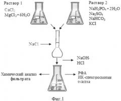 Способ моделирования костной кристаллизации при коксартрозе in vitro (патент 2496150)