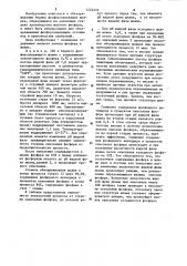 Способ обезвреживания фосфорсодержащих шламов (патент 1224272)