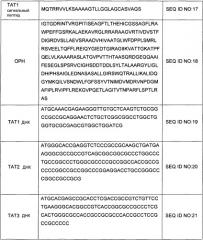 Сигнальные пептиды тат для продукции белков в прокариотах (патент 2487937)