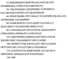 Способ лечения головокружения различного генеза, кинетозов и вегето-сосудистой дистонии (варианты) и лекарственное средство (патент 2503462)