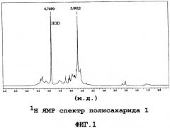 Полисахарид из корней echinacea angustifolia, способ его получения, фармацевтическая композиция (патент 2308460)