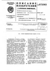 Способ модифицирования ковкого чугуна (патент 872563)