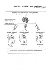 Способ исследования мозговой активности по данным фмрт (патент 2652898)