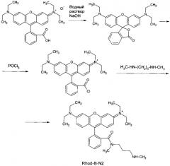 Аналоги природных дезоксирибонуклеозидтрифосфатов и рибонуклеозидтрифосфатов, содержащие репортёрные флуоресцентные группы, для использования в аналитической биоорганической химии (патент 2582198)