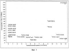 Штамм lactobacillus paracasei subspecies paracasei, обладающий антимикробными и иммуномодулирующими свойствами, и пищевой продукт на его основе (патент 2501850)