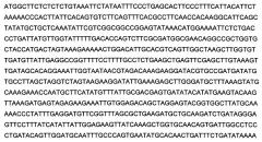 Изопропилмалат синтаза из nicotiana tabacum и способы и ее применение (патент 2644238)